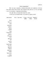 Konspekts 'Elektroenerģijas taupīšana mājsaimniecībā', 21.