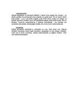 Referāts 'Spānija', 8.