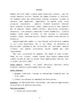 Referāts 'Cik patiess ir da Vinči kods', 3.