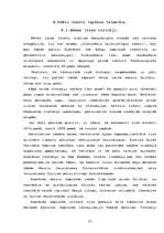 Referāts 'Cik patiess ir da Vinči kods', 12.