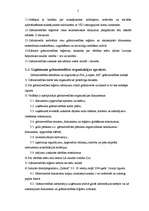 Referāts 'Grāmatvedības darba organizēšana', 3.