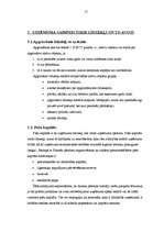 Referāts 'Grāmatvedības darba organizēšana', 15.