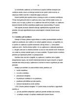 Referāts 'Grāmatvedības darba organizēšana', 16.