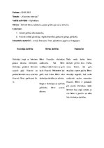 Prakses atskaite 'Aktīvā mācību un audzināšanas prakse pirmsskolā. Pirmā daļa', 28.