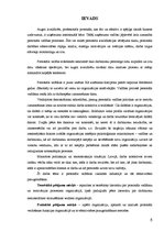 Referāts 'Personālvadība izklaides industrijā un tās efektivitātes paaugstināšana', 6.