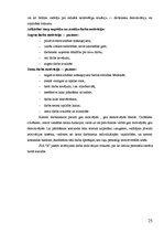 Referāts 'Personālvadība izklaides industrijā un tās efektivitātes paaugstināšana', 25.