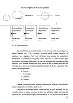 Referāts 'Personālvadība izklaides industrijā un tās efektivitātes paaugstināšana', 37.