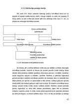 Referāts 'Personālvadība izklaides industrijā un tās efektivitātes paaugstināšana', 45.