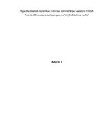 Referāts 'Uzņēmuma vadītāja analīze. Mincberga lomas, vadības stili, varas veidi', 1.