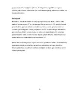 Referāts 'Uzņēmuma vadītāja analīze. Mincberga lomas, vadības stili, varas veidi', 10.