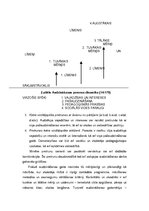 Referāts 'Audzināšanas process sākumskolā', 8.