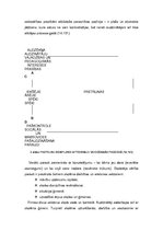 Referāts 'Audzināšanas process sākumskolā', 9.