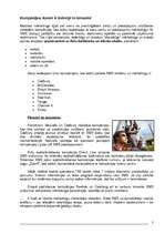 Referāts 'Mobilais mārketings', 2.