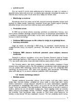 Referāts 'Mobilais mārketings', 8.