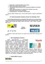 Referāts 'Mobilais mārketings', 11.