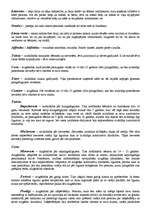 Konspekts 'Romiešu tiesību jēdzienu skaidrojumi', 11.