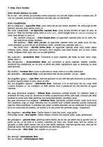 Konspekts 'Romiešu tiesību jēdzienu skaidrojumi', 13.