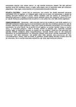 Konspekts 'Romiešu tiesību jēdzienu skaidrojumi', 39.