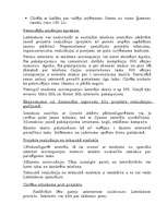 Konspekts 'Lattelekom interneta iezvanpieejas telefoncentrāles izveide un pakalpojuma ievie', 2.