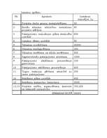 Konspekts 'Lattelekom interneta iezvanpieejas telefoncentrāles izveide un pakalpojuma ievie', 4.