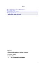 Referāts 'Jauno autovadītāju ceļu satiksmes noteikumu pārkāpšana', 2.