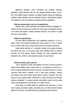 Referāts 'Jauno autovadītāju ceļu satiksmes noteikumu pārkāpšana', 5.