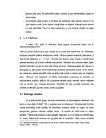 Referāts '2005.gada janvāra vētras sekas ', 4.