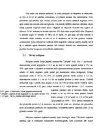 Referāts '2005.gada janvāra vētras sekas ', 10.