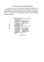 Referāts 'SIA "ABC" stratēģijas analīze un darbības plānošana', 11.