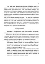 Referāts 'SIA "ABC" stratēģijas analīze un darbības plānošana', 18.