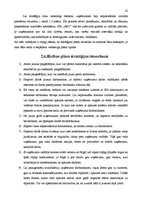 Referāts 'SIA "ABC" stratēģijas analīze un darbības plānošana', 22.