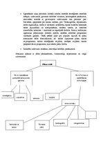 Konspekts 'Skolas darbības plānošana', 2.
