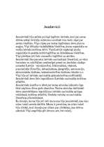 Konspekts 'Jaunlatvieši', 2.