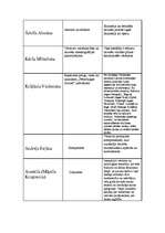 Konspekts 'Jaunlatvieši', 4.