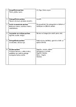 Biznesa plāns 'Biljarda klubs', 94.