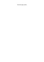 Biznesa plāns 'Biljarda klubs', 180.