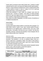 Referāts 'Grieķijas izglītības sistēma', 4.