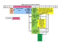 Referāts 'Grieķijas izglītības sistēma', 10.