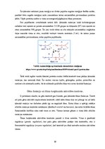 Referāts 'Proteīnu sintēzes, šūnas funkciju un šūnas vairošanās ģenētiskā kontrole', 12.