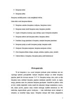 Referāts 'Biezpiena ēdieni', 7.