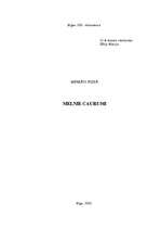 Referāts 'Melnie caurumi', 1.