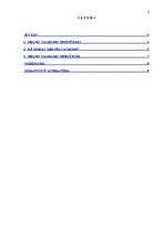 Referāts 'Melnie caurumi', 2.