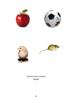 Prezentācija 'Ievads logopēdijā', 20.