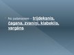 Prezentācija 'Tradicionālā mūzika Latvijā', 21.