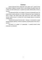 Referāts 'Netradicionālā mūzika gadsimtu mijā', 2.