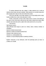 Referāts 'Netradicionālā mūzika gadsimtu mijā', 6.