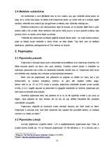 Referāts 'Netradicionālā mūzika gadsimtu mijā', 10.