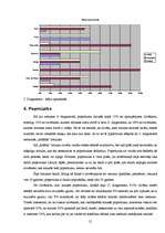 Referāts 'Netradicionālā mūzika gadsimtu mijā', 21.