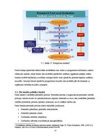 Prakses atskaite 'Prakses atskaite a/s "Parex Banka"', 37.