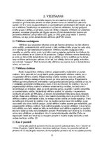 Referāts 'Patstāvīgi pētnieciskais darbs sociālajās zinātnēs par jauniešu līdzdalību vēlēš', 12.